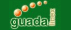 Guadalinex