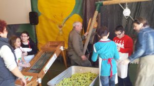 20161111_124309_resized