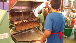 20161111_125251_resized